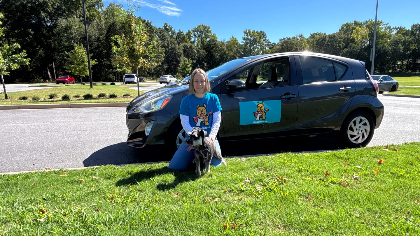 Person in a blue Scoop Rescue shirt with a small dog beside a branded gray car.